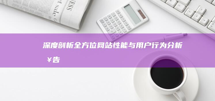 深度剖析：全方位网站性能与用户行为分析报告